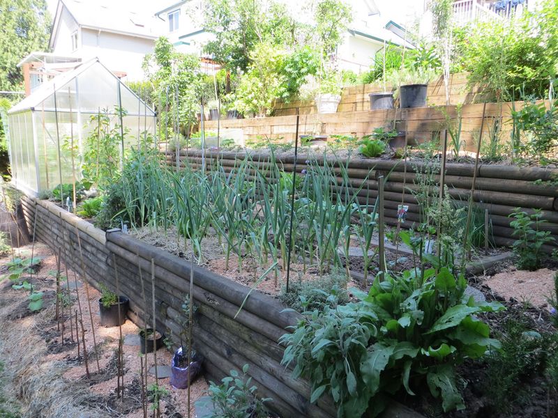 Sloped Vegetable Garden