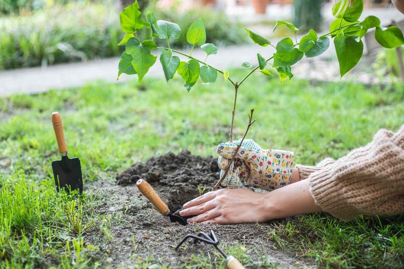 Soil Enrichment