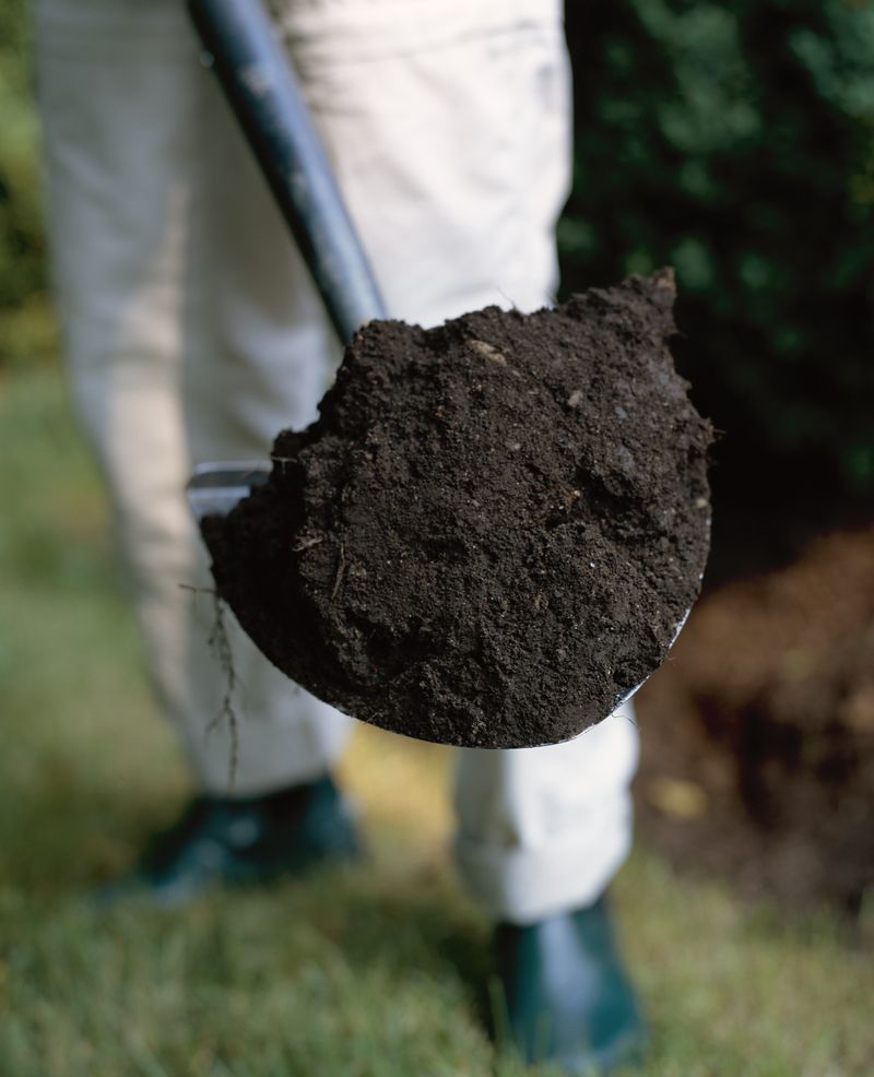 Soil Preparation Secrets