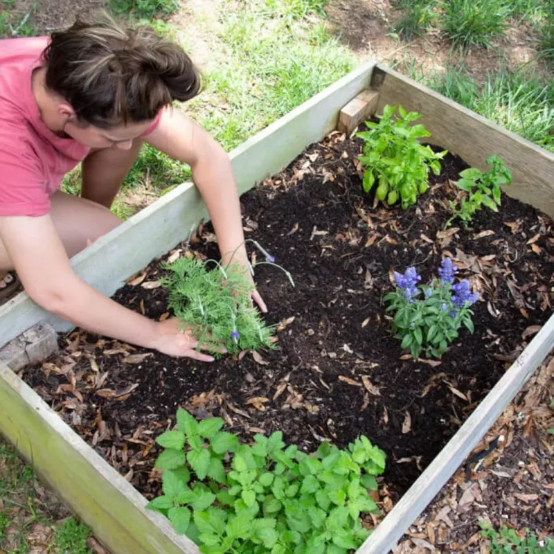 Soil Quality Matters