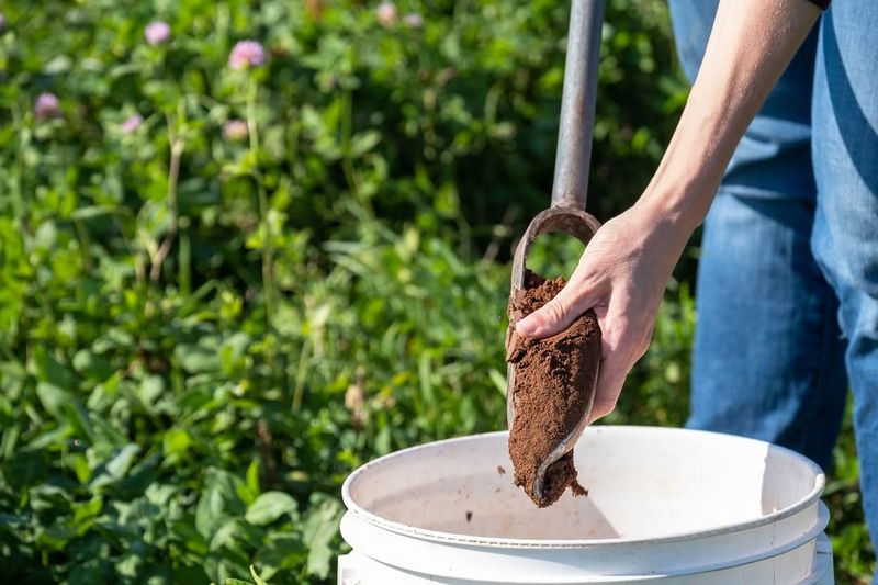 Soil Testing