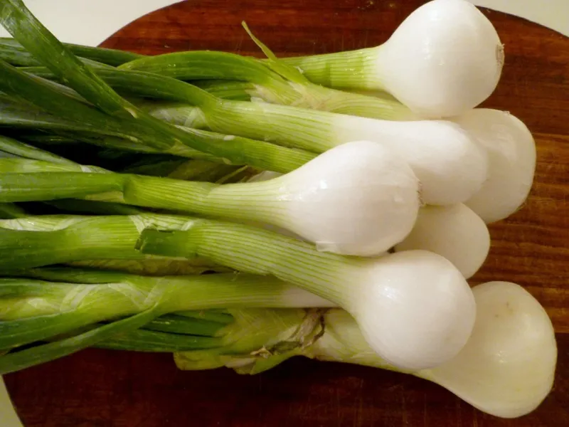 Spring Onions