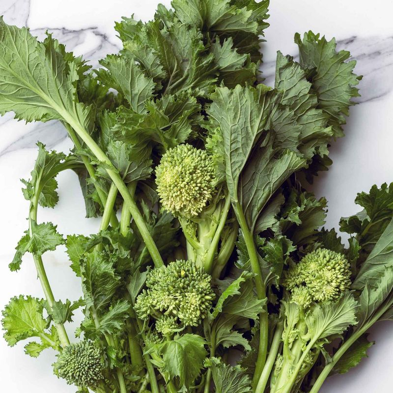 Spring Raab Broccoli