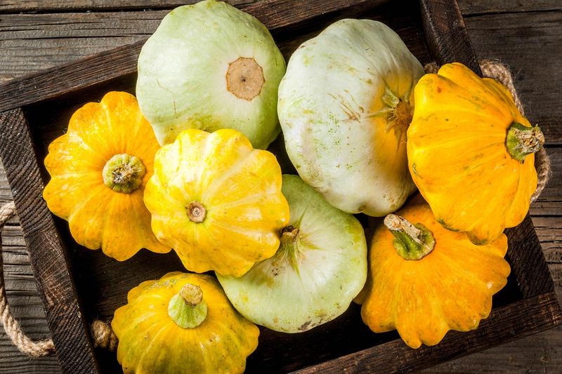 Squash (Pattypan Varieties)