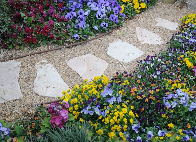 Stepping Stone Path with Plant Insets