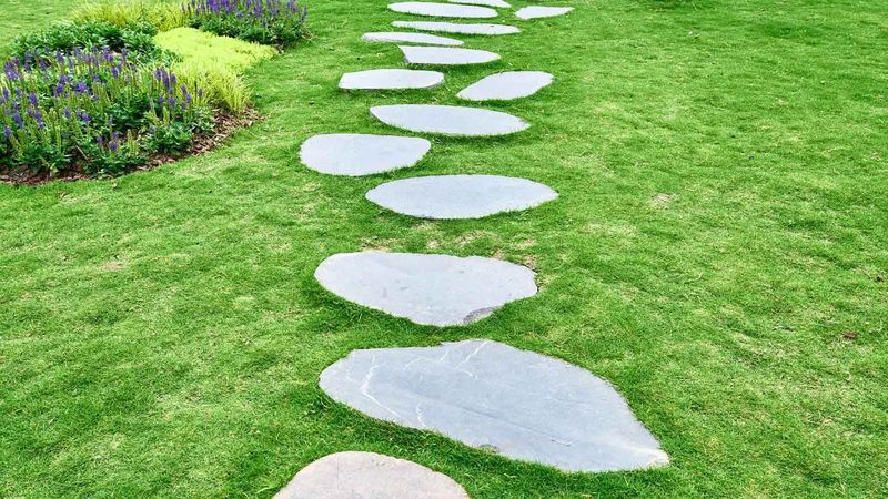 Stepping Stone Pathway