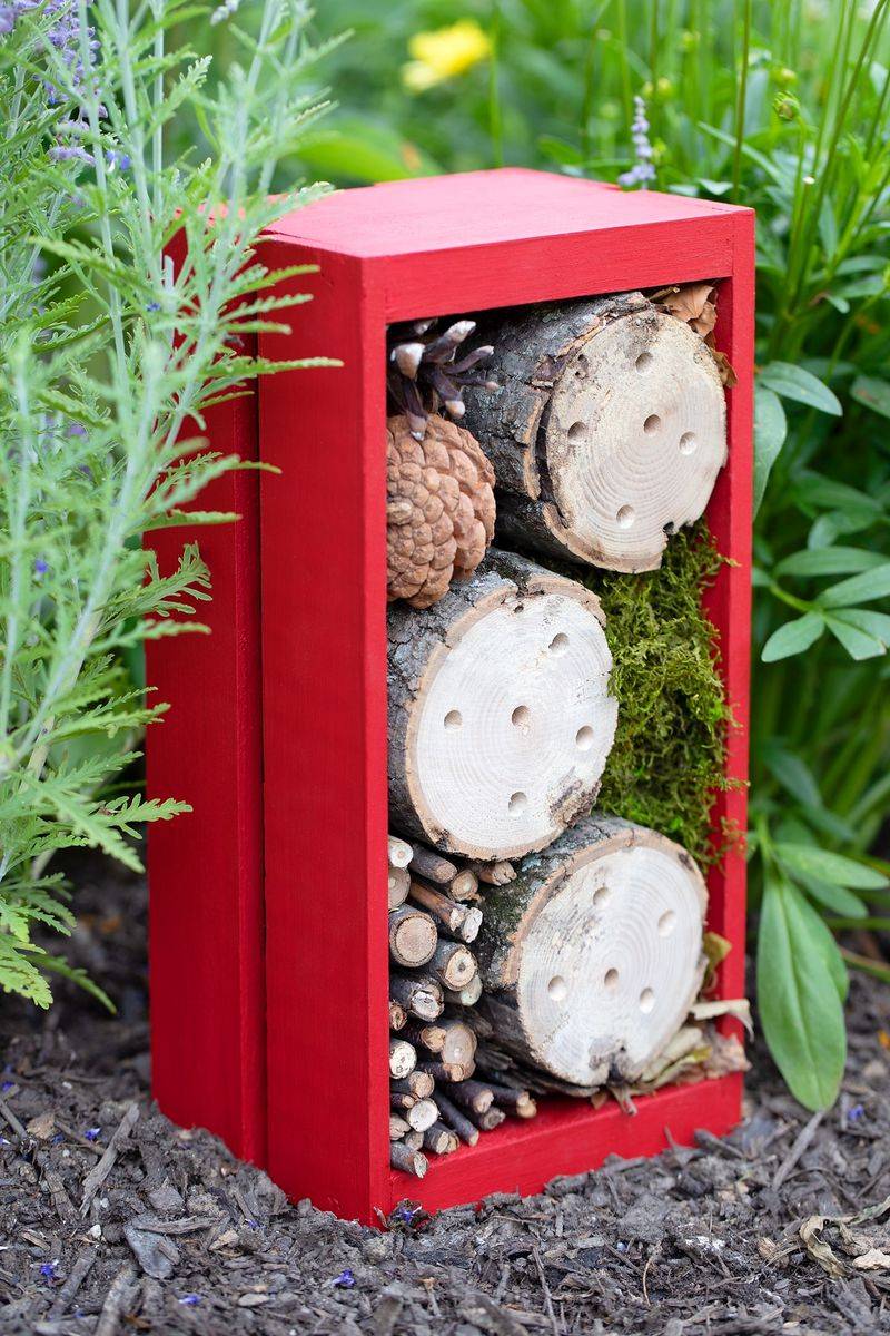 Stick Bug Hotel