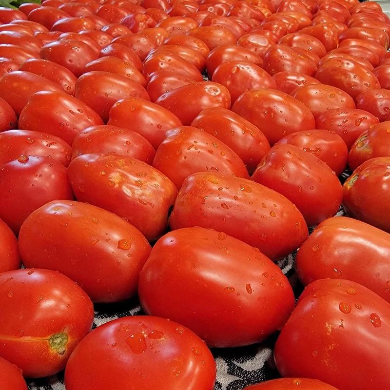 Storing Tomatoes Correctly