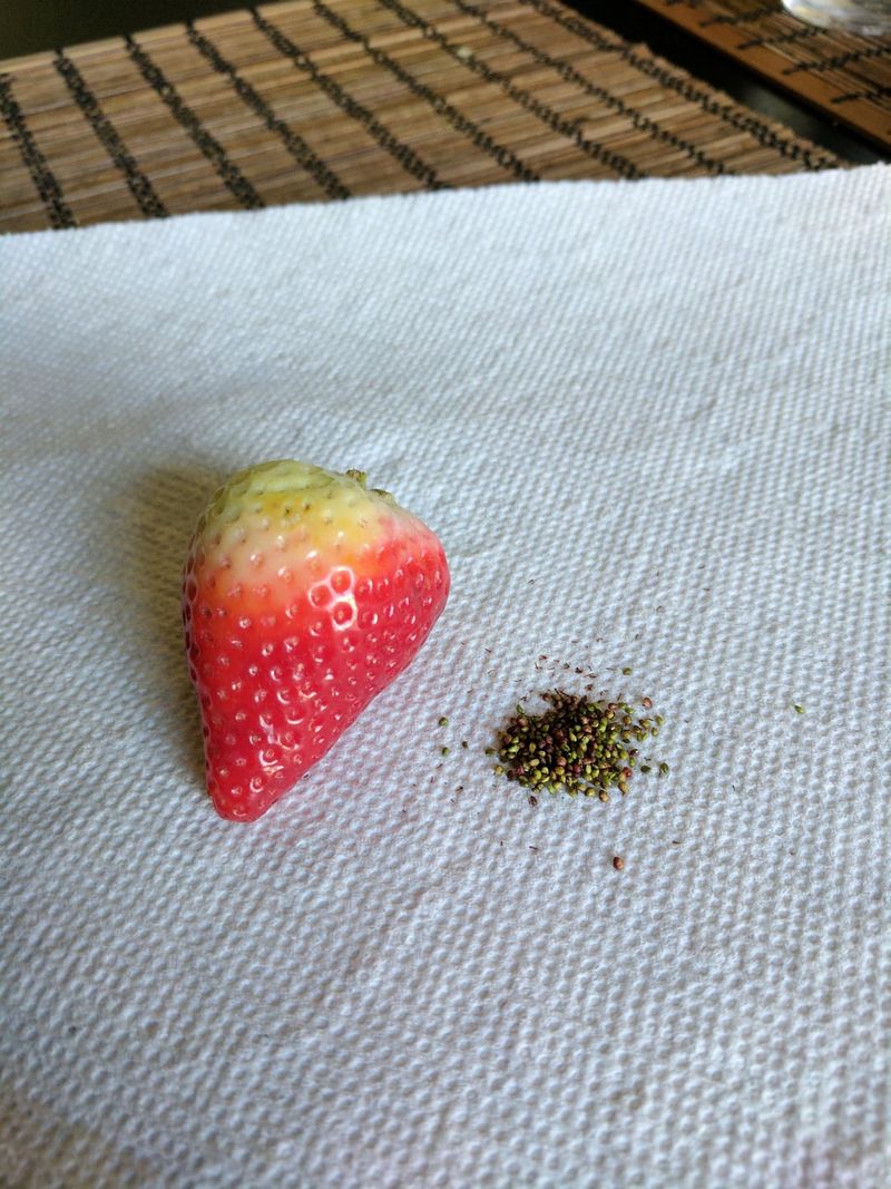 Strawberry Seeds Are Seeds