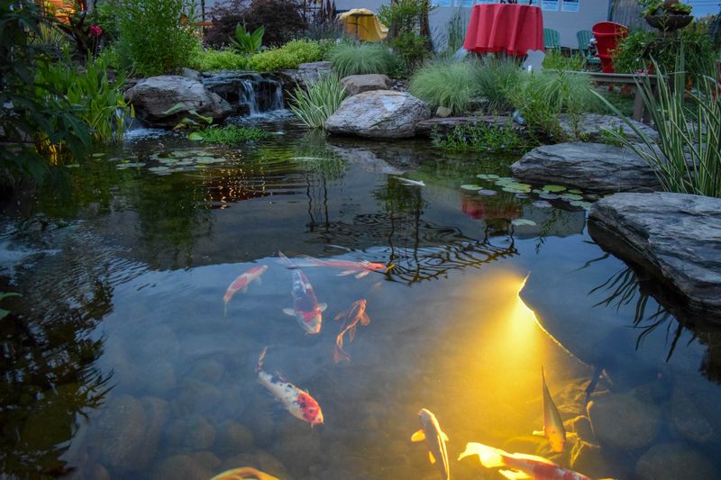 Submersible Pond Lights