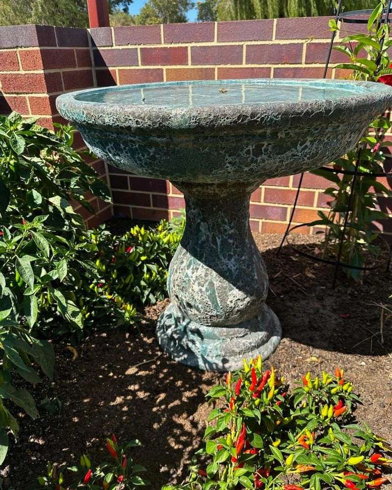 Bird Bath Feature