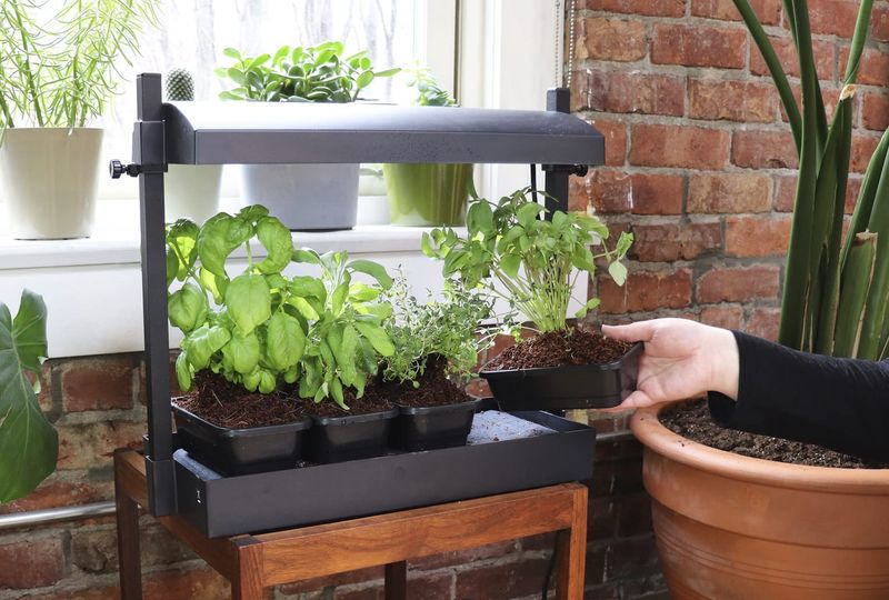 SunBlaster Micro Grow Light Garden