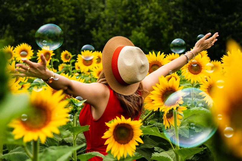 Sunflower Smiles