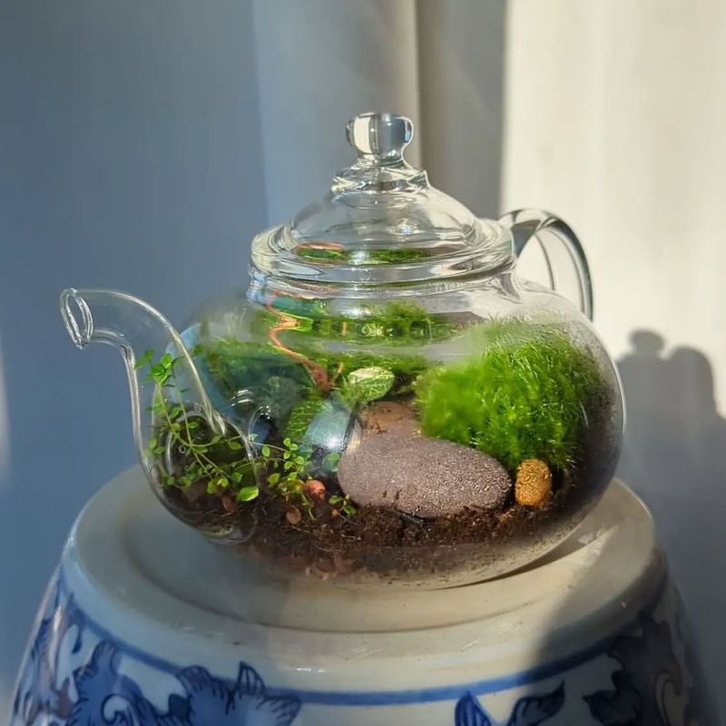 Teapot Herb Garden