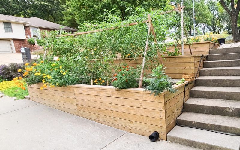 Terraced Garden Beds