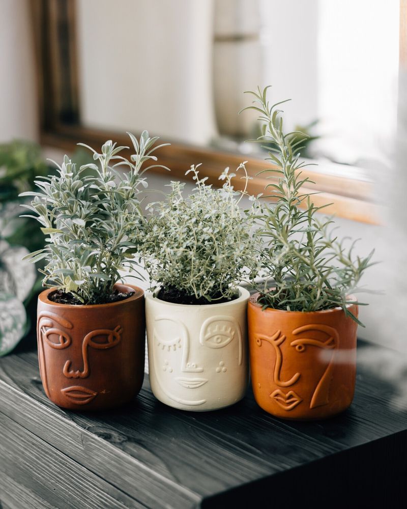 Terracotta Pot Trio