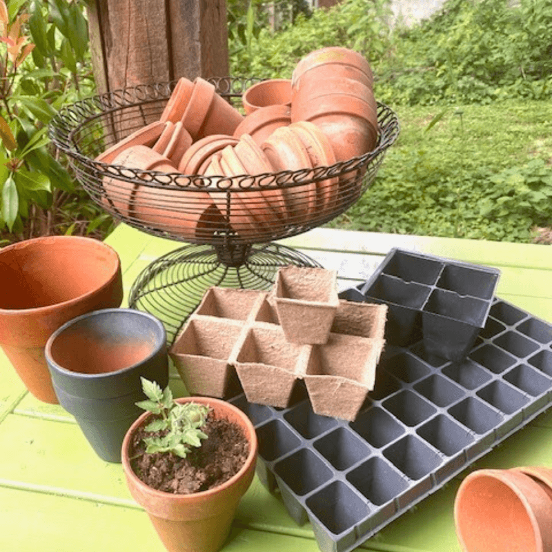 Terracotta Pots