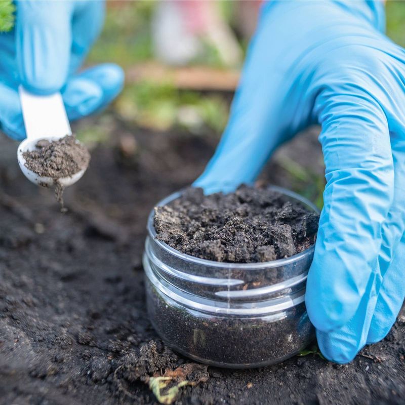 Test Soil for Nutrient Levels