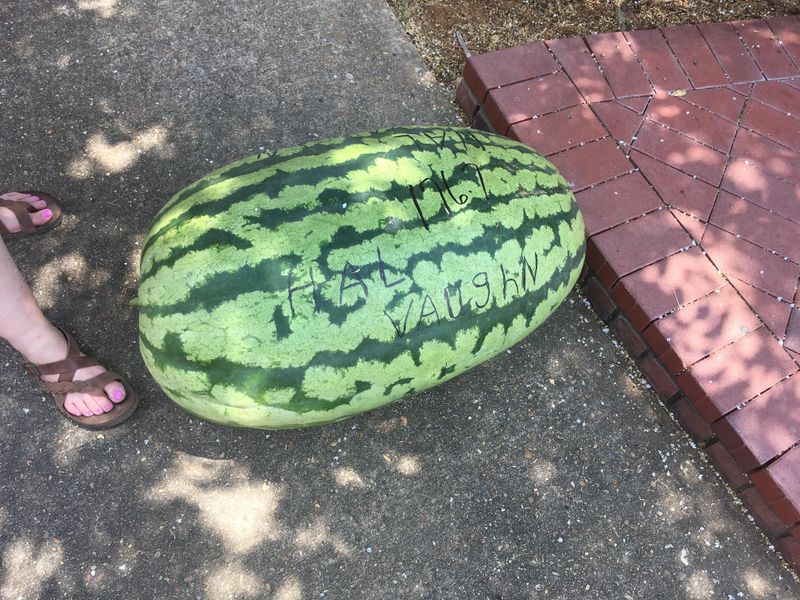 Texas - Giant Watermelon