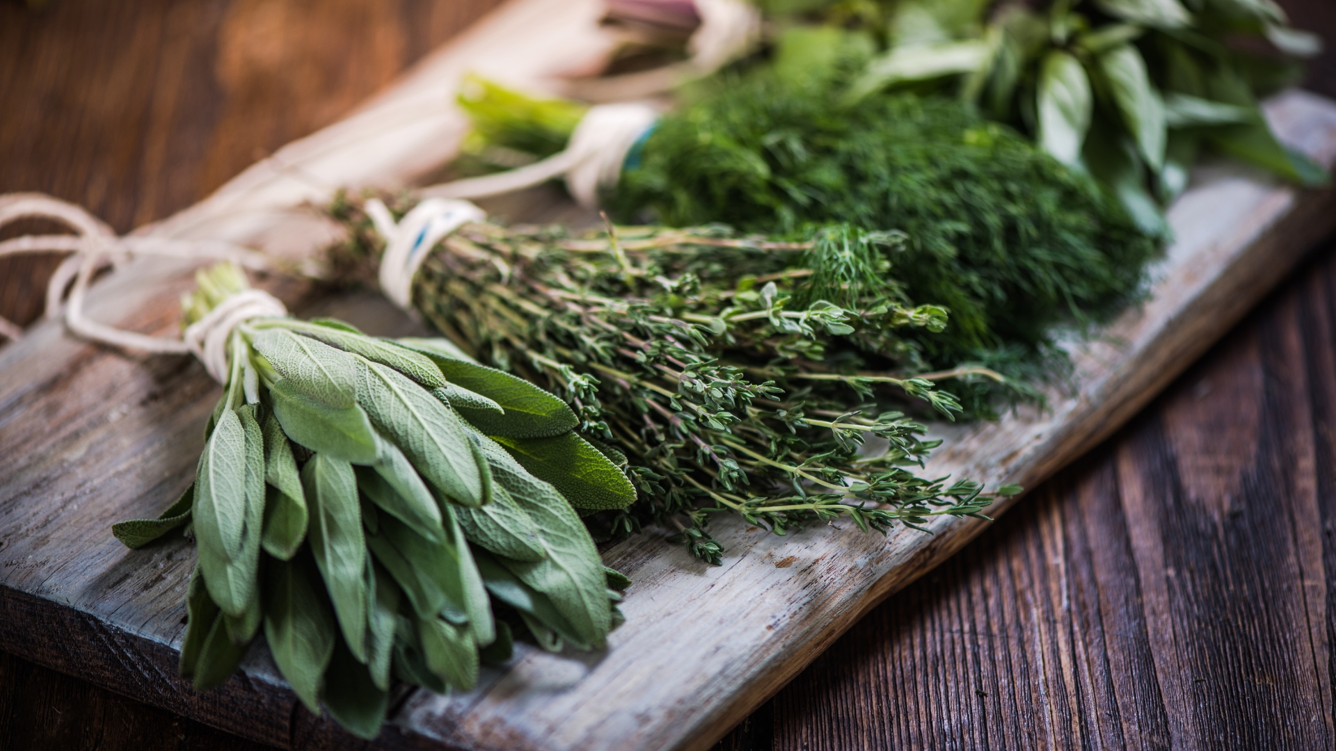 Basil, sage, dill, and thyme herbs on wooden board preparing for winter drying