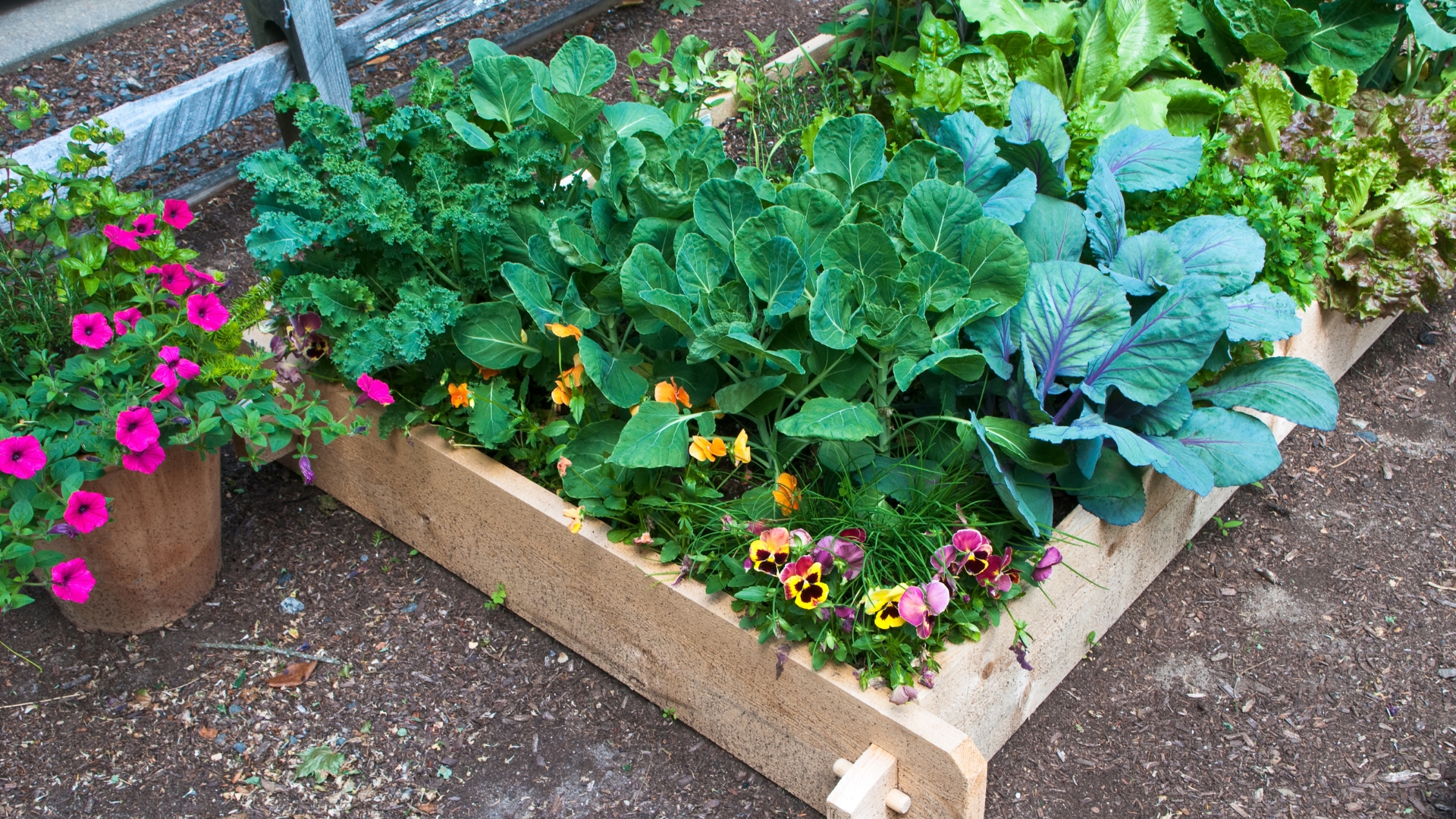The 21 Biggest Raised Bed Gardening Mistakes (And How to Avoid Them)