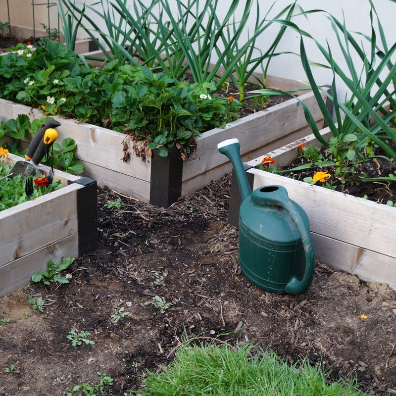 The Benefit of Raised Beds