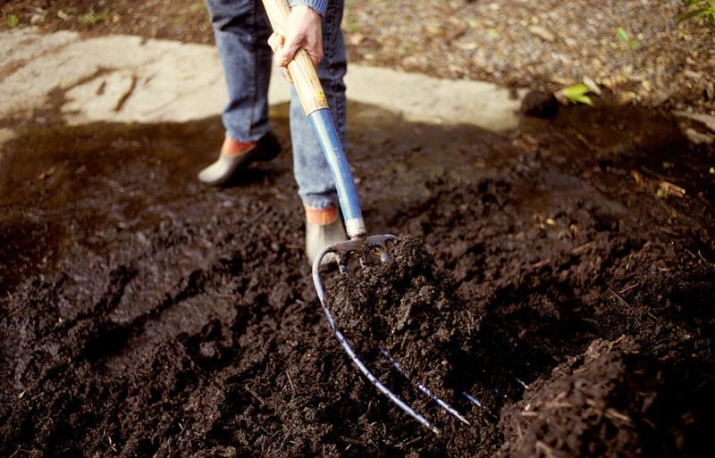 The Benefits of No-Till Gardening