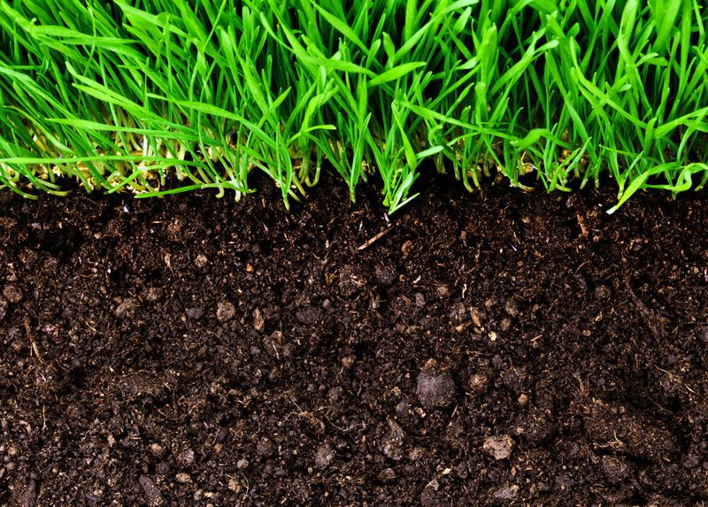 The Importance of Organic Matter