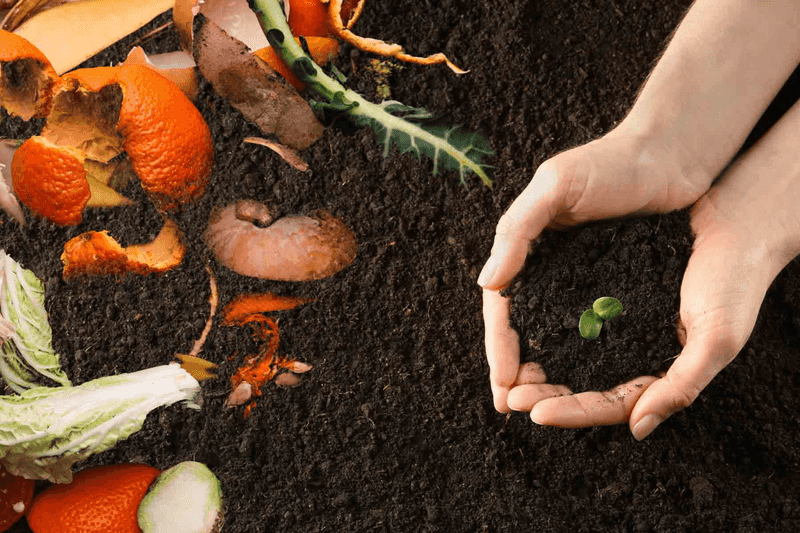 The Power of Composting