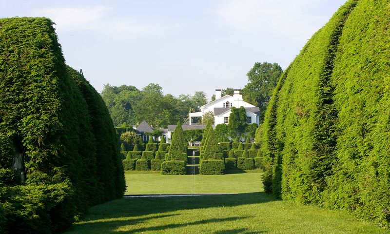 The Topiary Top Secret