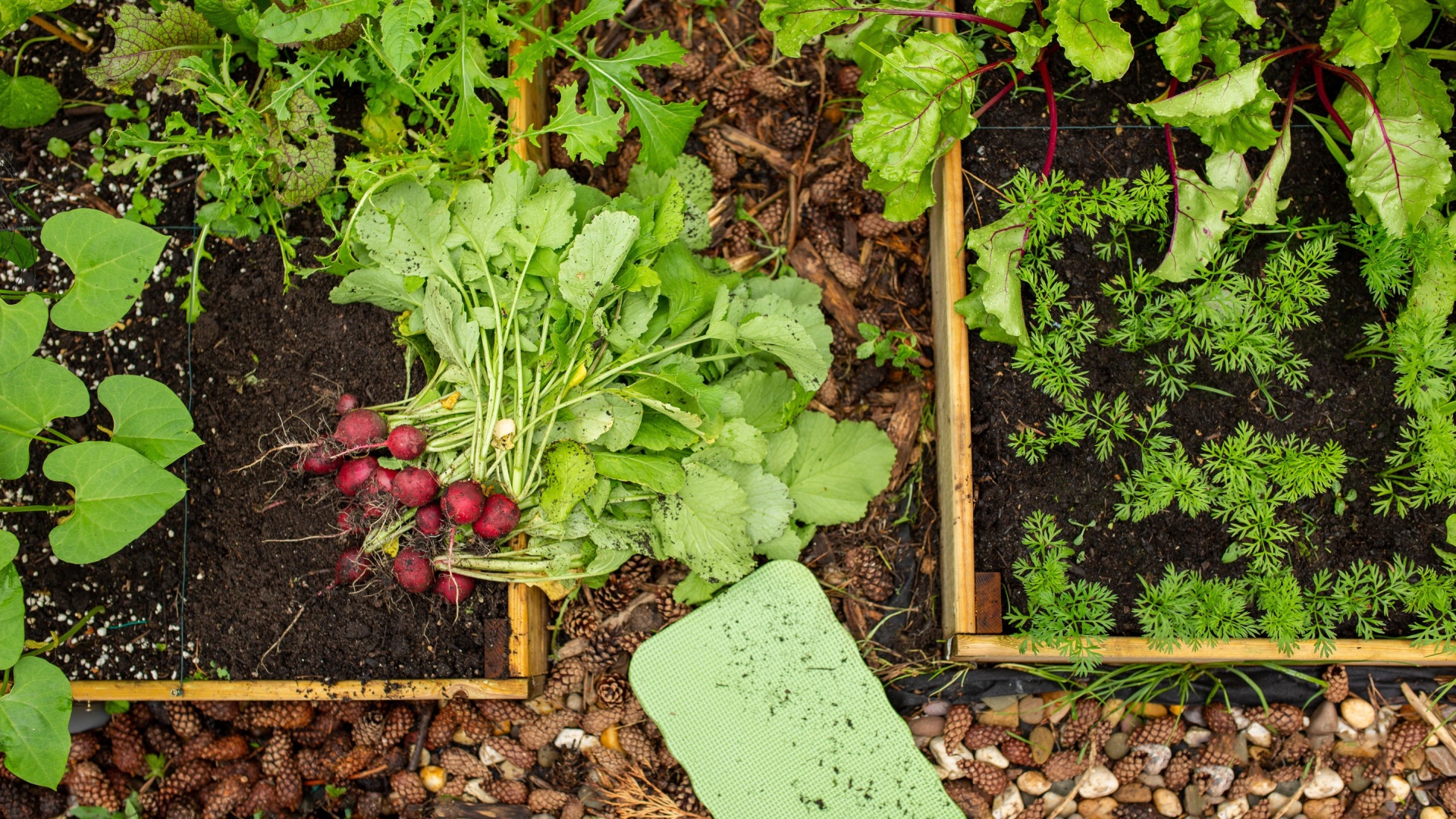 These Are The Three Most Important Soil Ingredients To Use In A Raised Bed Garden
