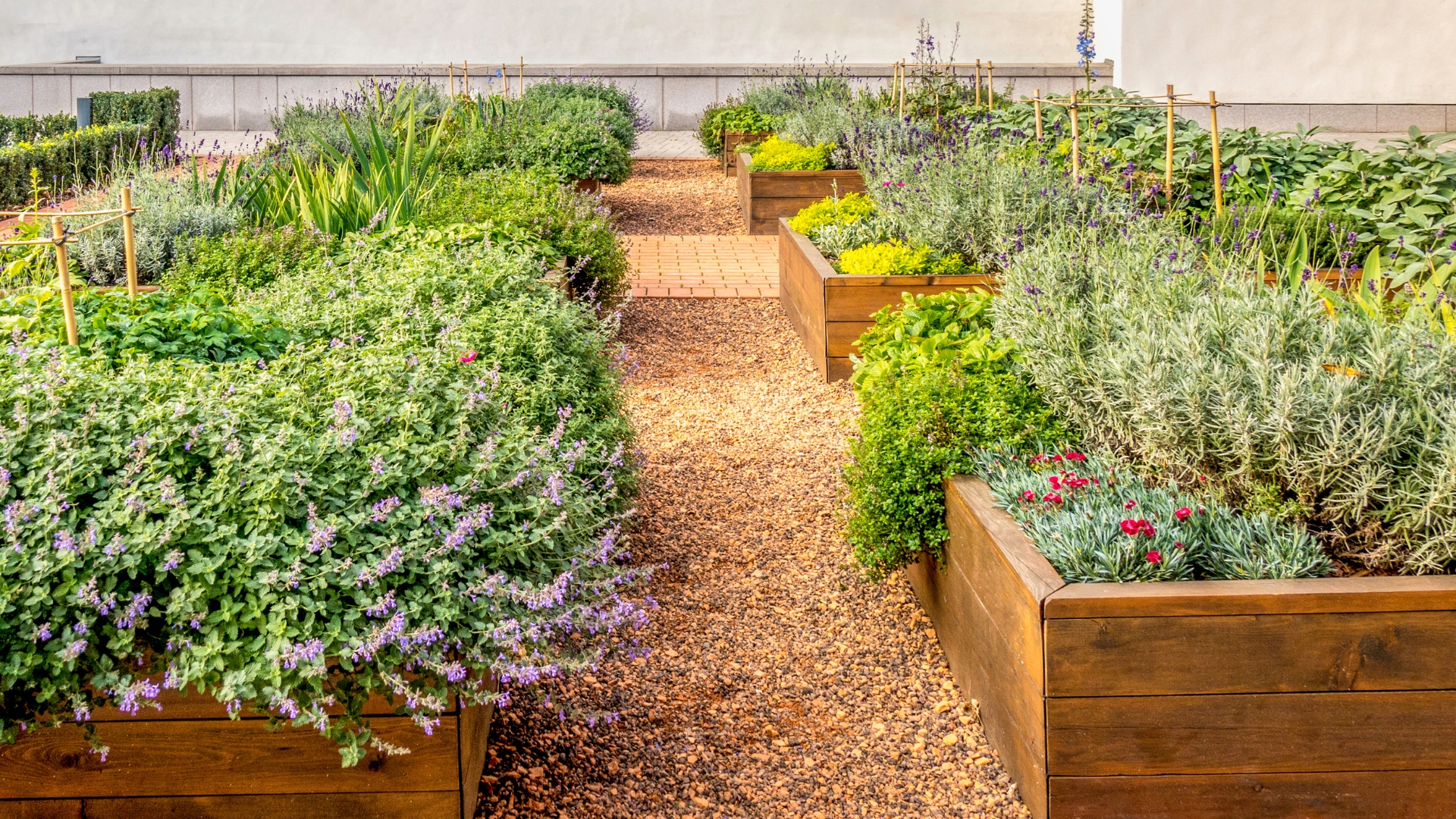 raised bed garden