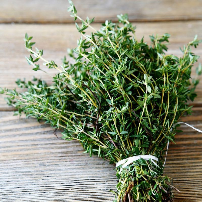 Thyme