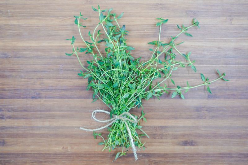 Thyme