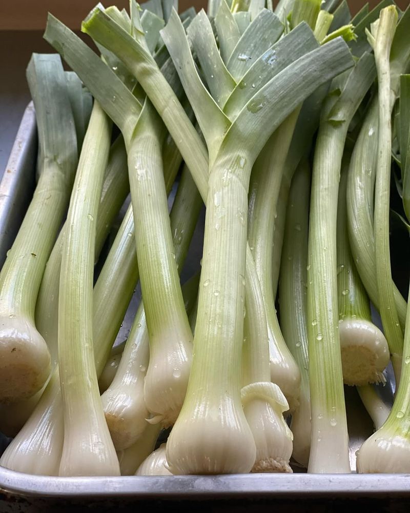 Tiny Leeks