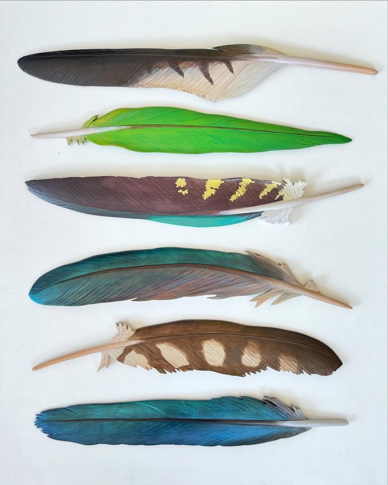 Colored Feathers