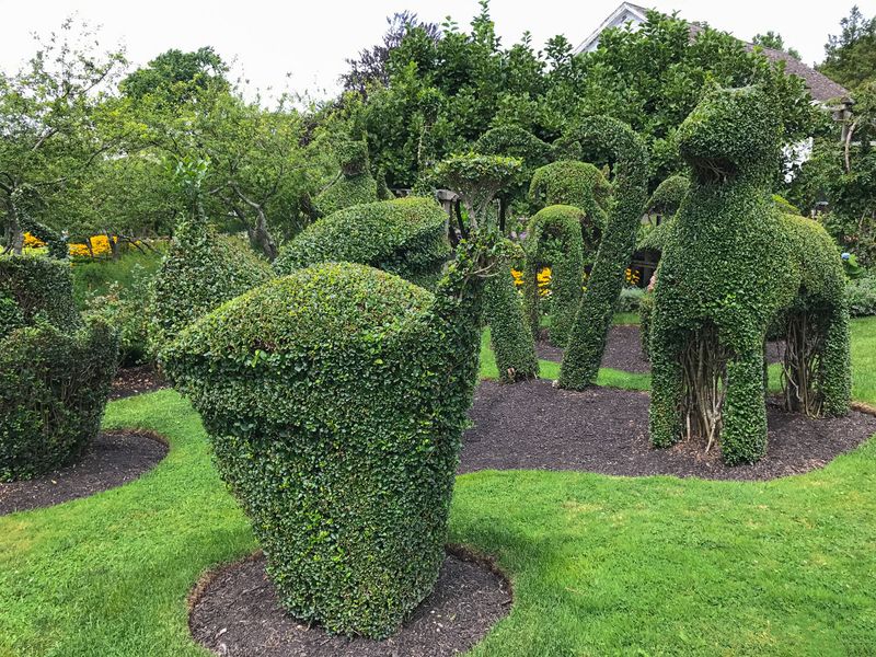 Topiary Sculptures