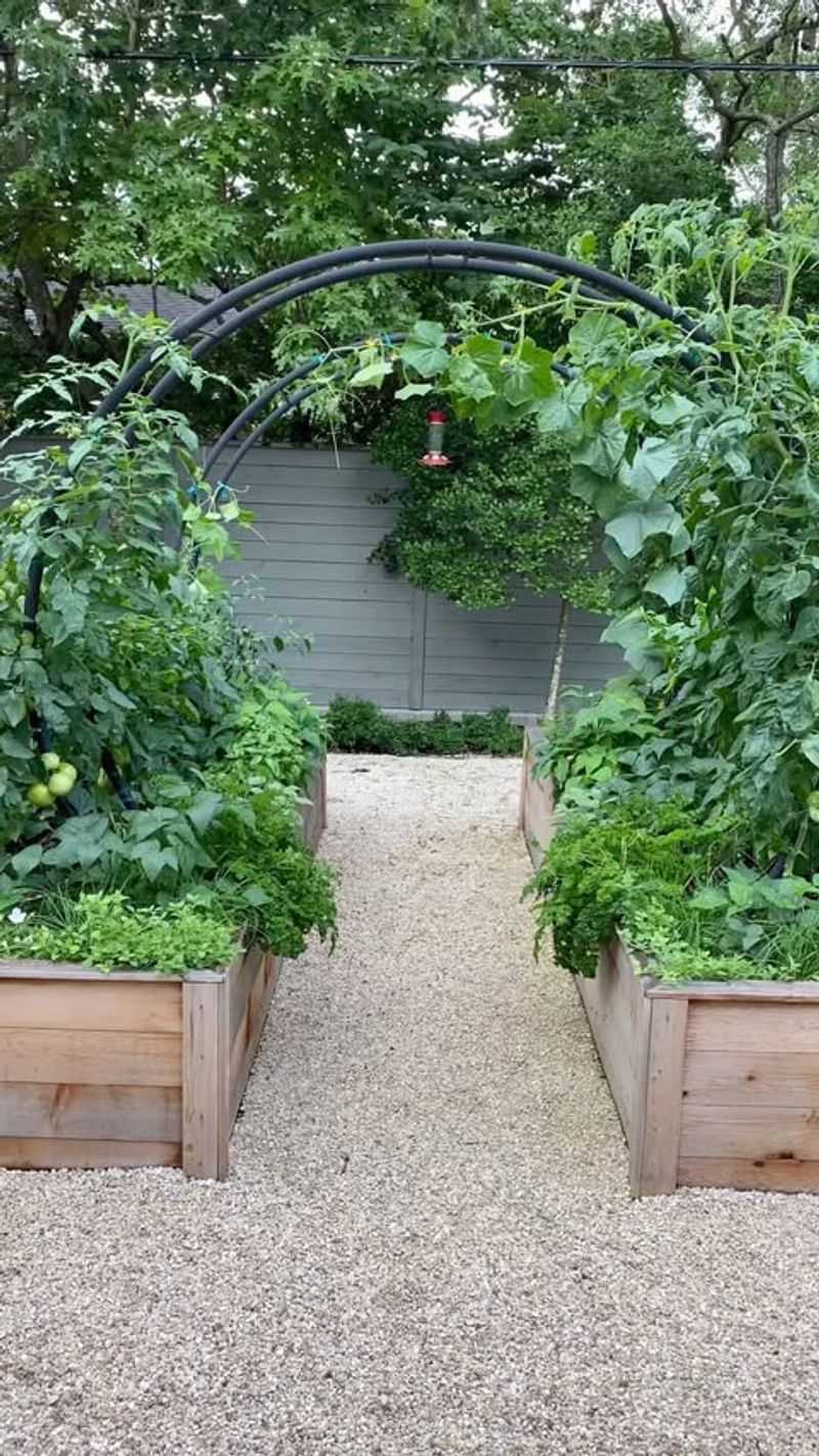 Trellis Arch