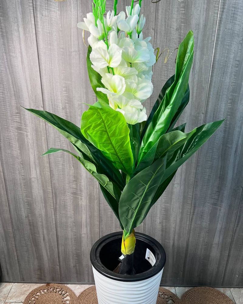 Tuberose