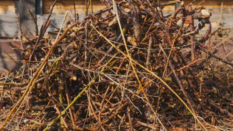 tree trimmings hugelkultur