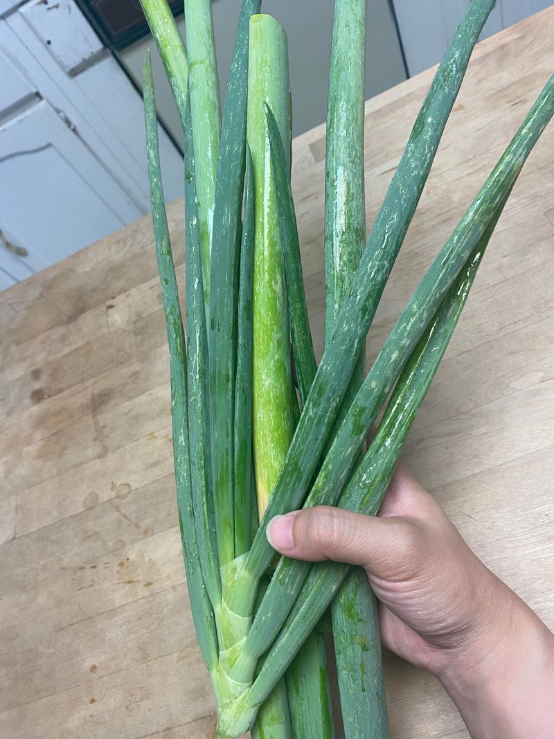 Scallions