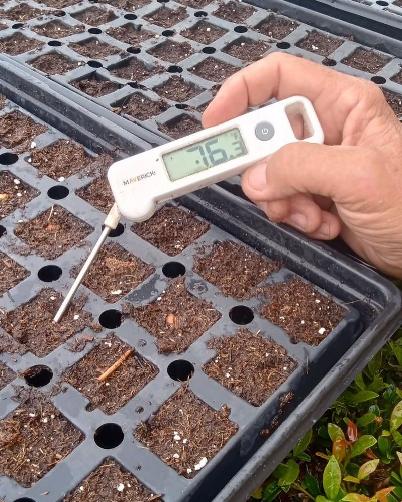 Understanding Soil Temperature