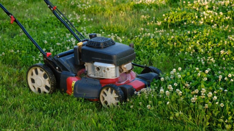 lawn mower on a grass