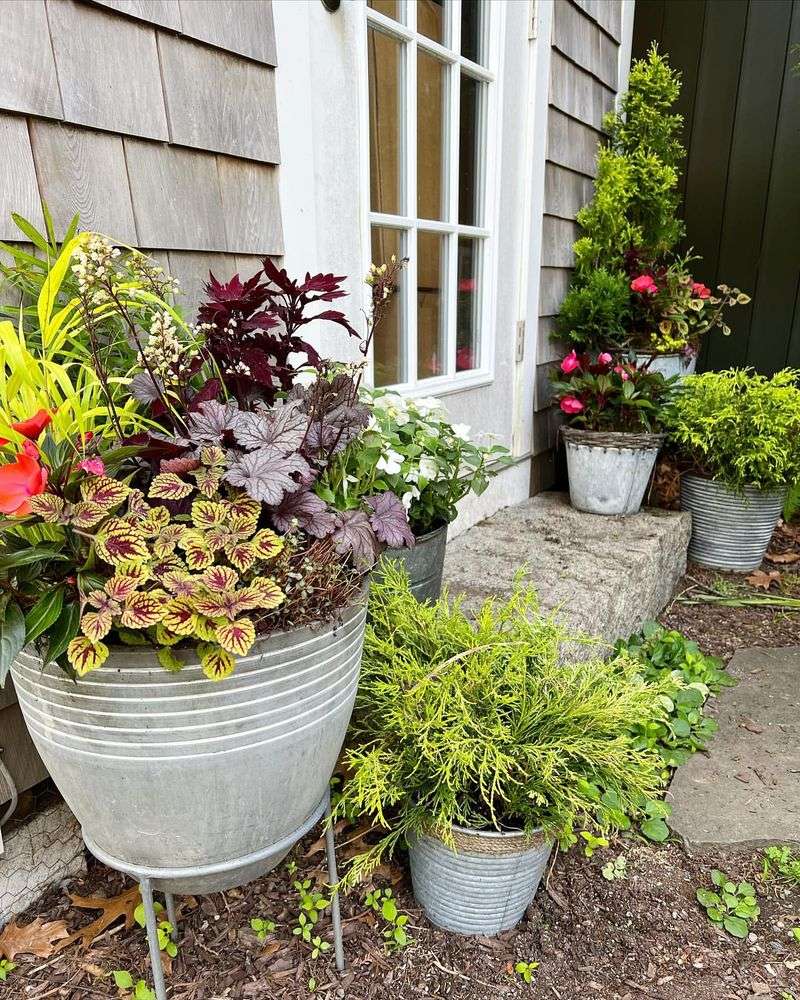 Unkempt Potted Plants