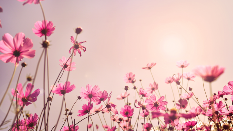 30 Amazing Flowers That Start With C