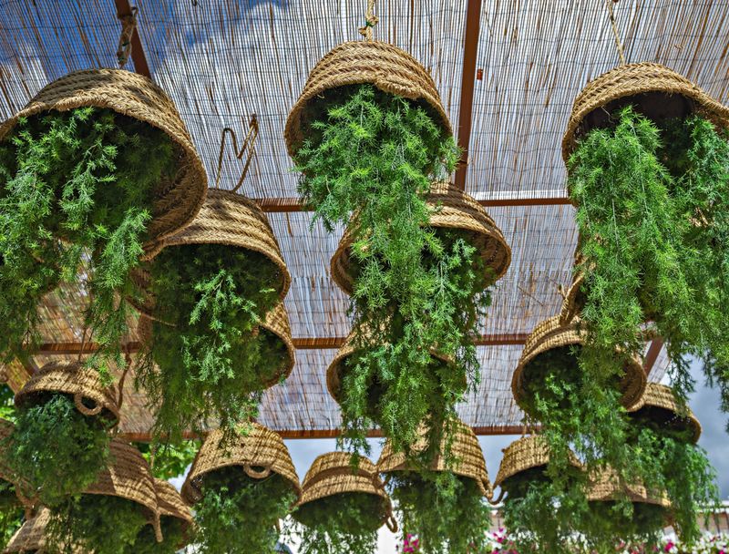 Upside-Down Planters