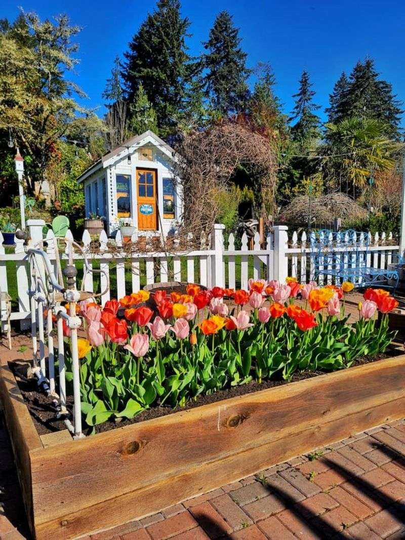 Use Raised Beds for Poor Soil