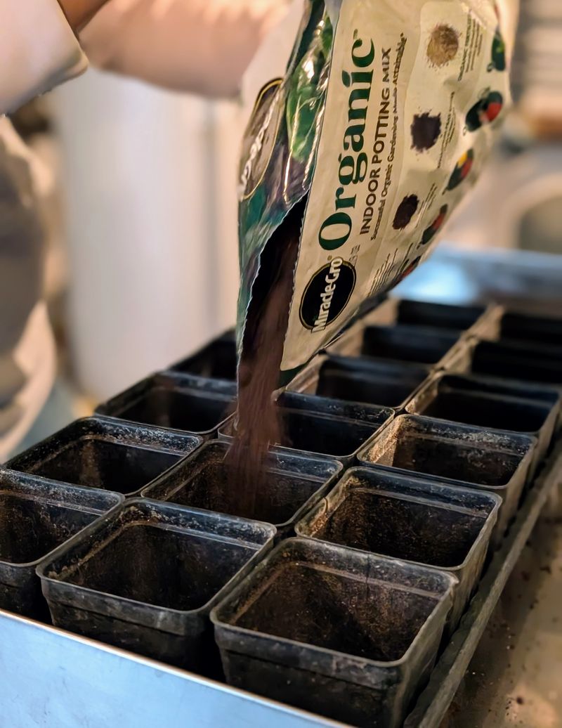 Use a Good Quality Potting Mix