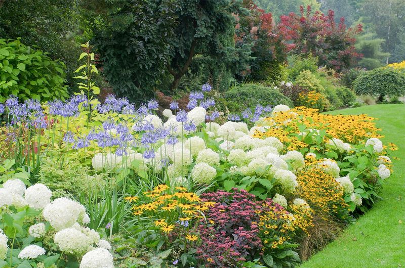 Use of Perennials