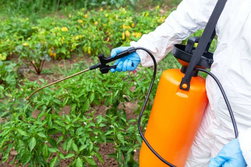 Using Chemical Herbicides Carelessly